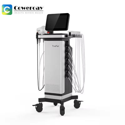 Good price 8 pcs Trufat RF Skin Rejuvenation Body Slimming Fat Burning Beauty Equipment online