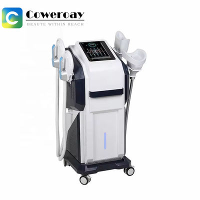 Good price 2 In 1  Cryolipolysis Fat Freezing Vacuum Therapy Machine Manufacturer online