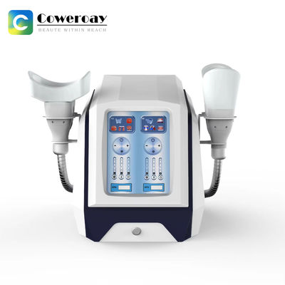 Good price 1000W Painless Cryolipolysis Fat Freezing Machine for Double Chin and Cellulite Removal online