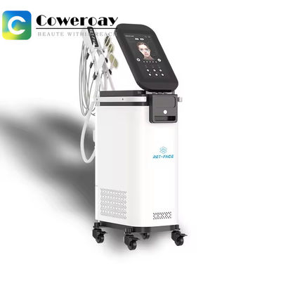Good price 3 In 1 Ems Rf Microcurrent Muscle Lifting Wrinkle Removal Ret Face Beauty Machine online