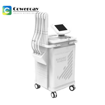 Good price 1060nm Diode Body Slimming Laser Machine ,  Laser Lipo Slimming Machine online