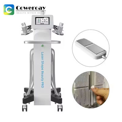 Good price 6D Laser Cryolipolysis Slimming Machine 635nm With 4 Paddles Cool Plates online