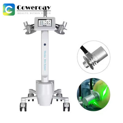 Good price 300w 532nm Painless Laser Fat Removal Machine Fat Burning Body Slimming 6D online