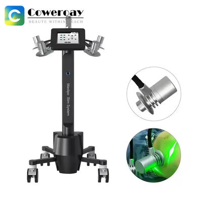 Good price 6D Red Light Laser 532nm Wavelength Weight Loss Beauty Machine For Fast Fat Reduce online