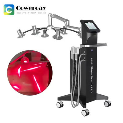 Good price 6D Fat Removal Lipolysis 532nm Green Light 635nm Red Light Buttocks Lifting Machine online