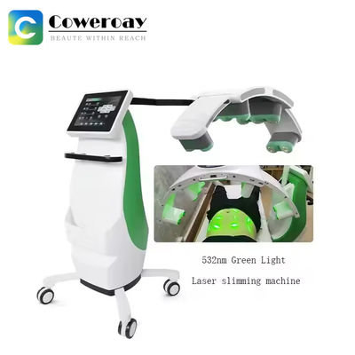 Good price 532nm/635nm Green Light 10D Fat Removal Maxlipo Master Machine Pain Relief Machine online