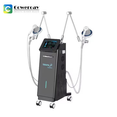Good price Double Handles Electromagnetic And Laser Therapy Machine For Relieve Joint Pain online