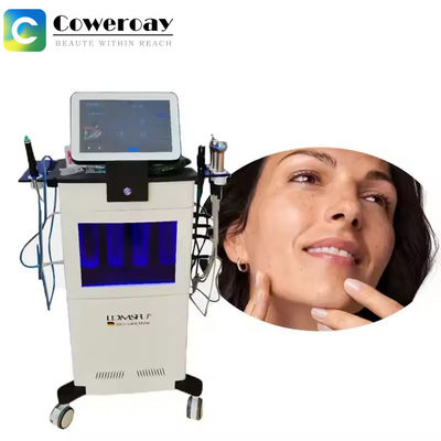 Un buon prezzo. Equipaggiamento di fisioterapia a tripla frequenza Ldm per eliminare l' acne locale in linea