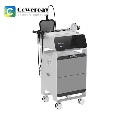 Good price Ret Cet 20k Deepba Rf Slimming Machine 448K Deep Heating Body Care Monopolar online