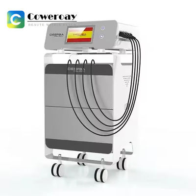 Good price 448khz Tecar Cet Ret Machine RF Physiotherapy Diathermy Machine Body Shaping online