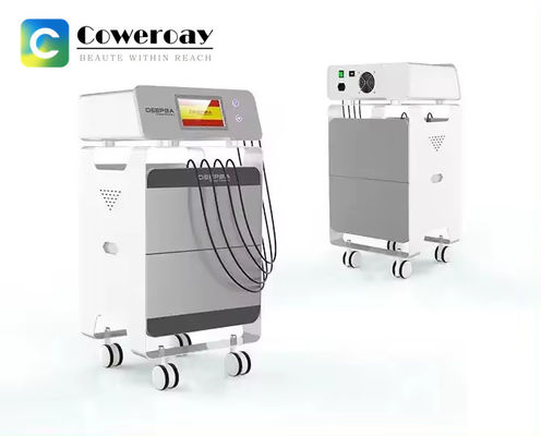 Good price Deepba 448KHZ Tecar Therapy Diathermy Treatment Rf Slimming Machine online