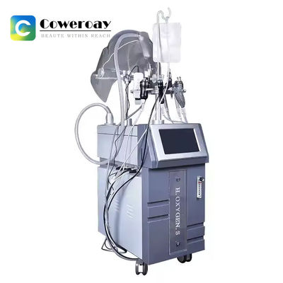 Good price 12 In 1 Deep Clean RF Facial Diamond Dermabrasion Hydro Care Beauty Machine online