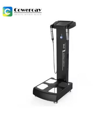 Good price Touch Screen Body Beauty Machine Fat Analyzer 3D Body Composition Analysis Machine online