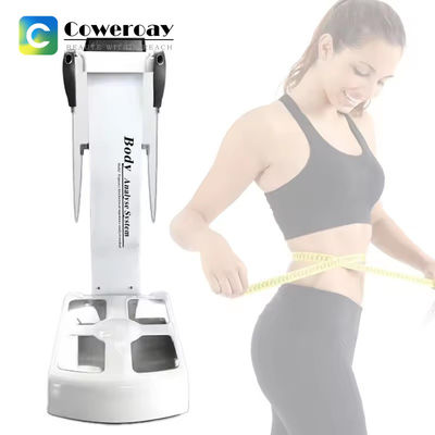 Good price 2 Handles Body Composition Analysis Device Weight Loss 3D Body Fat Scanner online