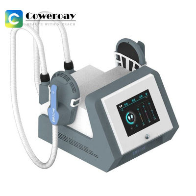 Good price 110V-220V EMS Muscle Stimulator Machine  , 2 Handles EMS Machine For Weight Loss online