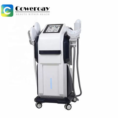 Good price The Cryoliposis Fat Treatment EMS Vacuum Multi Polar RF Slimming Machine online