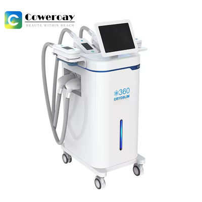 Good price 4 Handles 360 Cryolipolysis Slimming Machine Body Contouring Vacuum Therapy Machine online