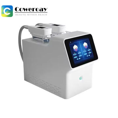 Good price 10.4 Inches Touch Screen Cryolipolysis Fat Freezing Slimming Machine 100KPA online
