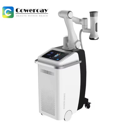 Good price 360 Cryolipolysis Slimming Machine Cryo+EMS Stimulation Machine For  Fat Reduction online