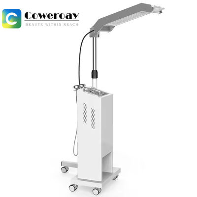 Good price 4 Colors LED Photon Therapy Machine 300W Medical LED Skin Tightening Machine online