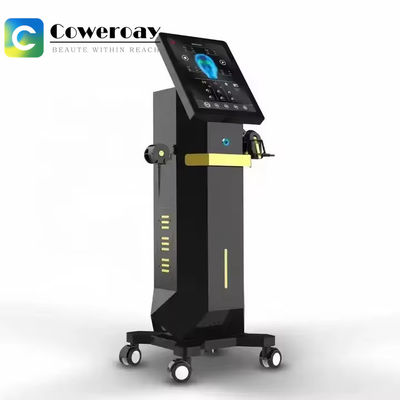 Good price 5 Handles Face Wrinkle Removal Machine EMS RF Facial Sculpting Machine online