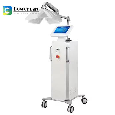 Good price Immune Lumbar Pain Red And Blue Light Therapy Devices For Body Massage Relieve online