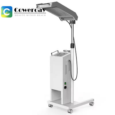 Good price 300W PDT LED Light Therapy Equipment Skin Whitening Rejuvenation Beauty Machine online